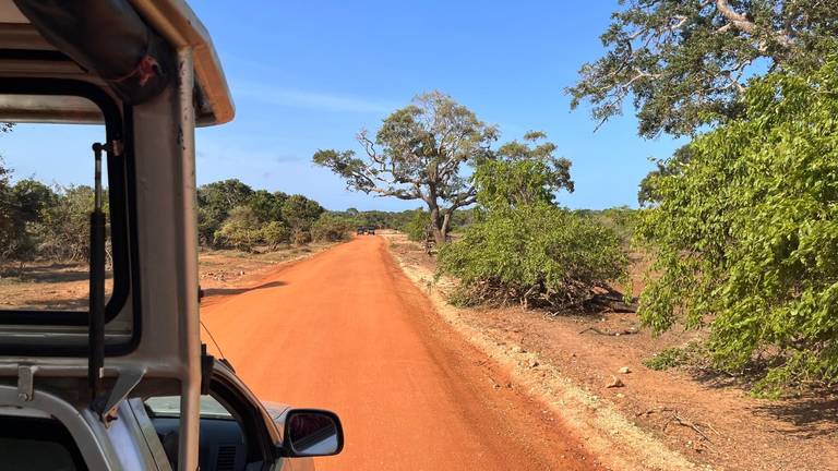 Yala national Park, Sri Lanka
